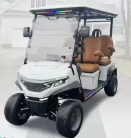 EZ Kruiser EV